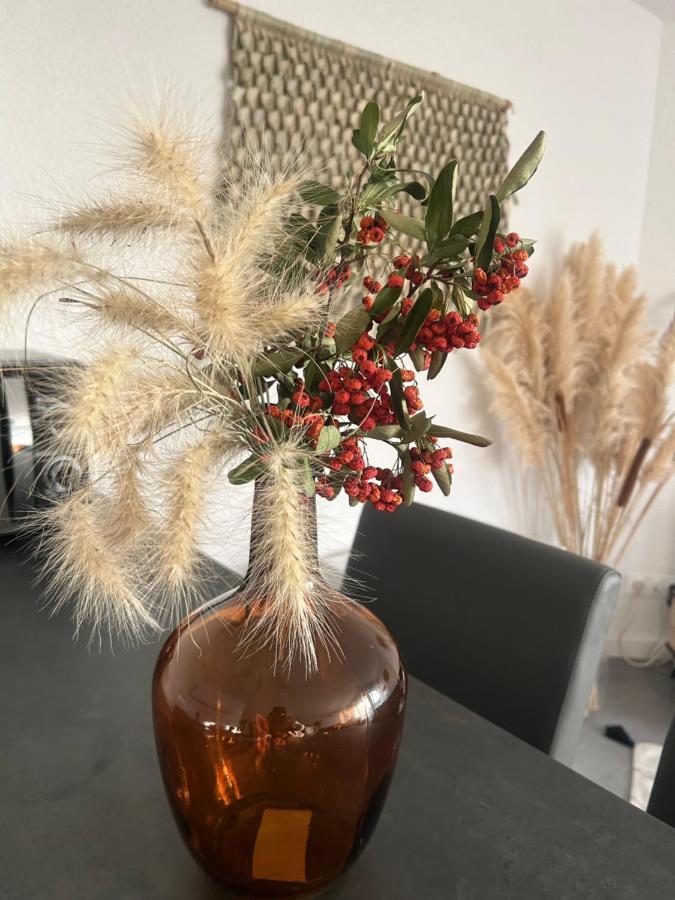 דירות לה בו דה פרובנס Lou Bonur מראה חיצוני תמונה